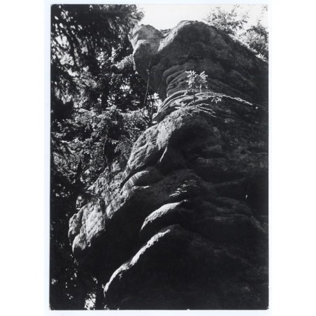 "Okolice Radkowa - malownicze skały w pobliżu kamieniołomów piaskowca 36-599"