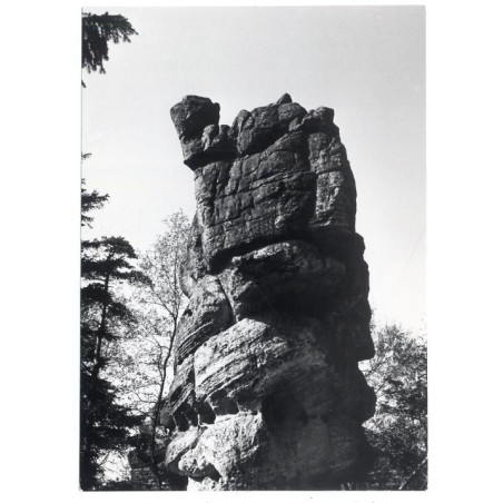 "Góry Stołowe. "Wielbłąd" na Szczelińcu 36-562"