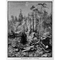 "W porębie. Rysunek A. Kędzierskiego. (6866)"