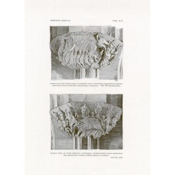 Zubrzycki: Skarb 3. Tabl. 209. [1] Odrzwia do Kaplicy arcybiskupa Olszowskiego w katedrze gnieźnieńskiej. Rys. W. Gosienieckiego