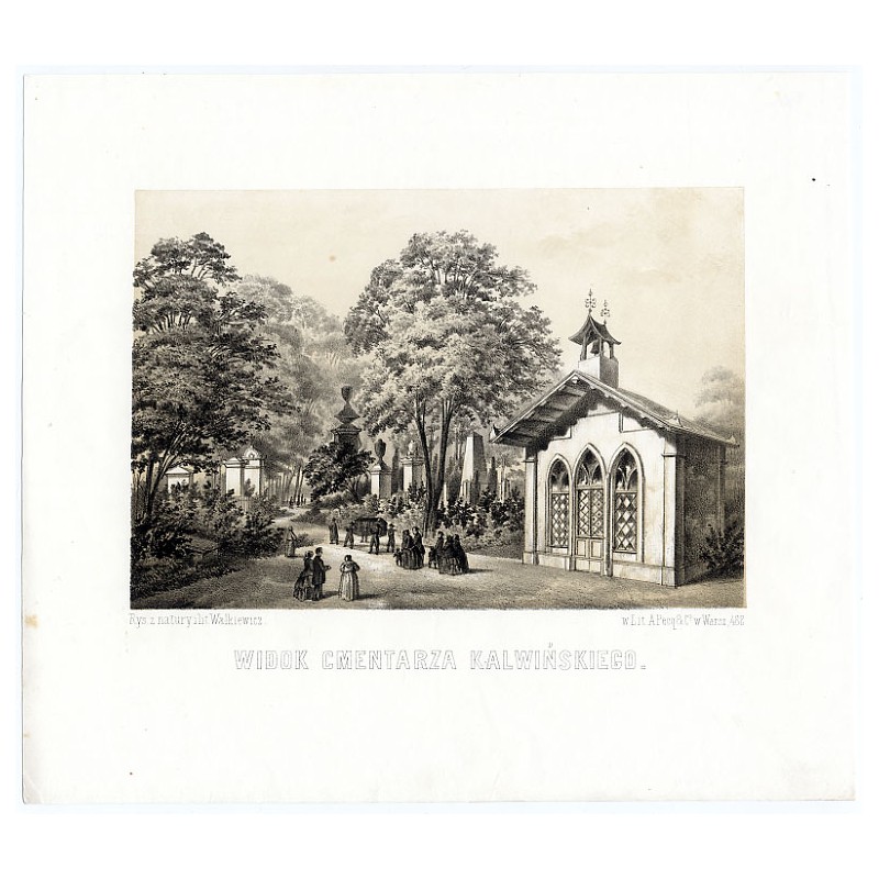 Widok cmentarza kalwińskiego / "WIDOK CMENTARZA KALWIŃSKIEGO. Rys. z natury i lit. Walkiewicz. w Lit. A. Pecq & CO w Warsz. 482