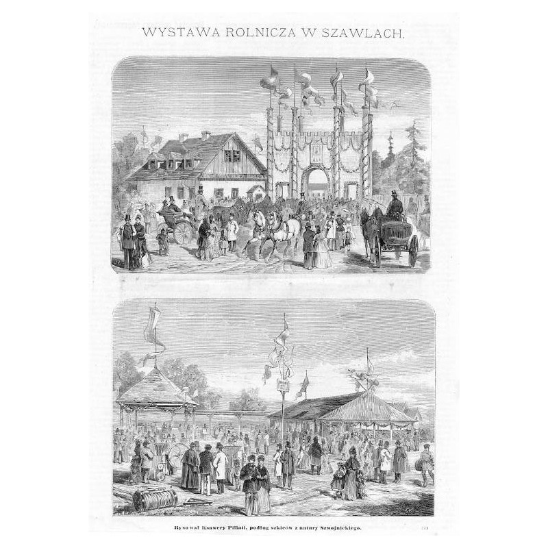Wystawa Rolnicza w Szawlach / "WYSTAWA ROLNICZA W SZAWLACH. Rysował Ksawery Pillati, podług szkiców z natury Szwojnickiego. 569"