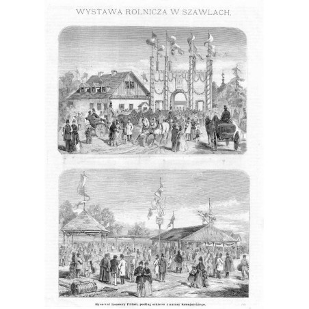 Wystawa Rolnicza w Szawlach / "WYSTAWA ROLNICZA W SZAWLACH. Rysował Ksawery Pillati, podług szkiców z natury Szwojnickiego. 569"