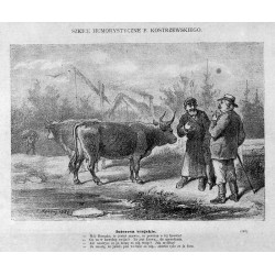 "Interesa wiejskie. - Mój Herszku [...] (641)"