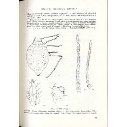 Klucze do oznaczania owadów Polski. Cz.17: Pluskwiaki równoskrzydłe - Homoptera. Z.5a: Mszyce - Aphidodea