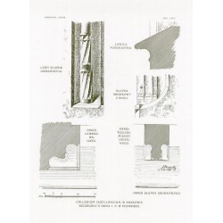 Zubrzycki: Skarb 1. Tabl. 40-48 66-69 i 75-76. Collegium Iagellonicum w Krakowie [przekrój podłużny i detale architektoniczne]