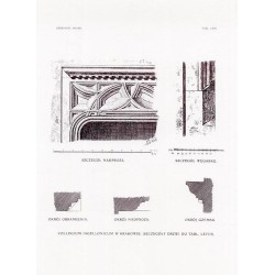 Zubrzycki: Skarb 1. Tabl. 40-48 66-69 i 75-76. Collegium Iagellonicum w Krakowie [przekrój podłużny i detale architektoniczne]