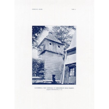 Zubrzycki: Skarb 1. Tabl. 50. Dzwonnica przy kościele w Brzezinach / "ZUBRZYCKI: SKARB. TABL. L. DZWONNICA PRZY KOŚCIELE W BRZEZ