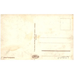Bad Landeck i. Schles., Panorama vom Dreieckerfelsen. 17
