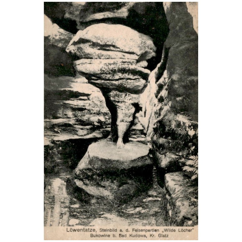 Löwentatze, Steinbild a. d. Felsenpartien "Wilde Löcher". Bukowina b. Bad Kudowa, Kr. Glatz