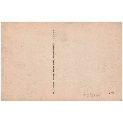 Löwentatze, Steinbild a. d. Felsenpartien "Wilde Löcher". Bukowina b. Bad Kudowa, Kr. Glatz
