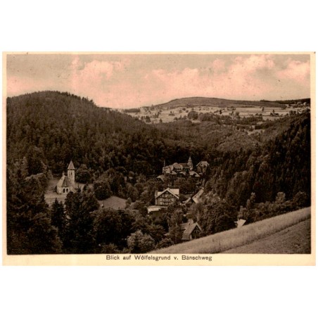 Blick auf Wölfelsgrund v. Bänschweg