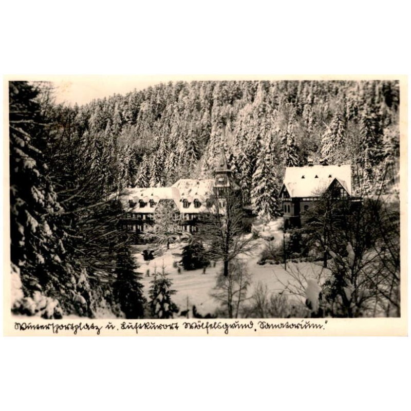 Wintersportplatz u. Luftkurort Wölfelsgrund "Sanatorium".