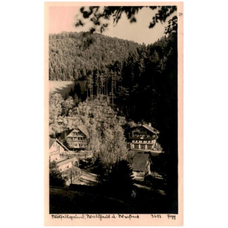 Wölfelsgrund, Waldhaus u. Weißnitz 3603 Popp
