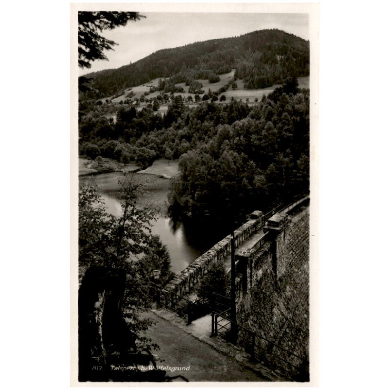 817. Talsperre b. Wölfelsgrund