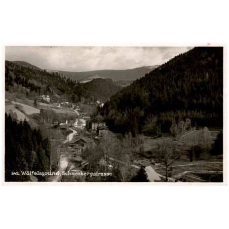542. Wölfelsgrund, Schneebergstrasse.