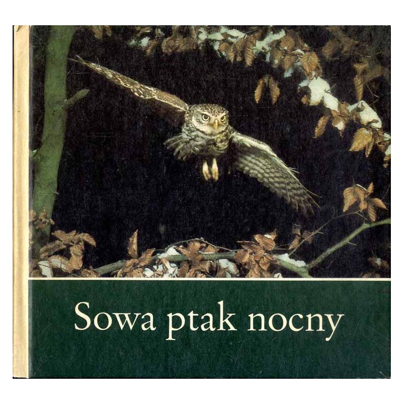 Sowa ptak nocny. dla Andrzeja i innych młodych przyjaciół przyrody zaobserwowali sfotografowali i napisali