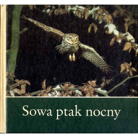 Sowa ptak nocny. dla Andrzeja i innych młodych przyjaciół przyrody zaobserwowali sfotografowali i napisali