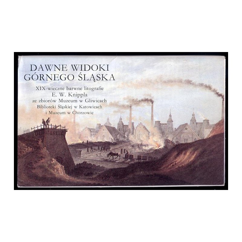 Dawne widoki Górnego Śląska. XIX-wieczne barwne litografie E. W. Knippla ze zbiorów Muzeum w Gliwicach, Biblioteki Śląskiej w Ka