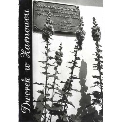 Dworek w Żarnowcu / fot. J. Korpal