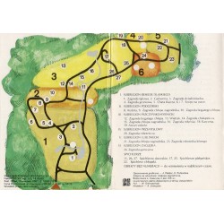 Górnośląski Park Etnograficzny w Chorzowie / fot. W. Giermasiński