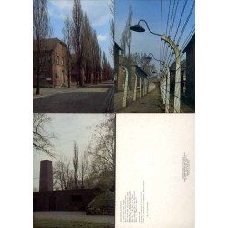 Oświęcim-Brzezinka / Auschwitz-Birkenau / fot. Adam Kaczkowski