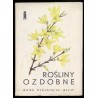 Rośliny ozdobne
