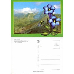 Tatry / fot. Mirosław Raczkowski Wiesław Stasiak Leszek Surowiec