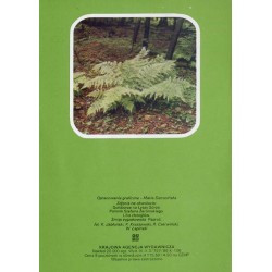 Świętokrzyski Park Narodowy / fot. Ryszard Czerwiński Piotr Krassowski Włodzimierz Łapiński Zofia Raczkowska