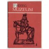 Brzeg. Muzeum