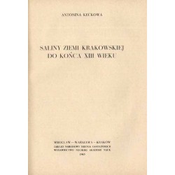 Saliny ziemi krakowskiej do końca XIII wieku
