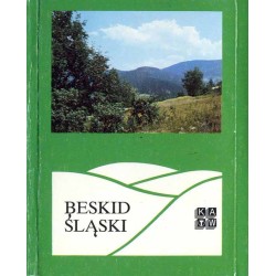 Beskid Śląski