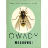 Owady. Muchówki