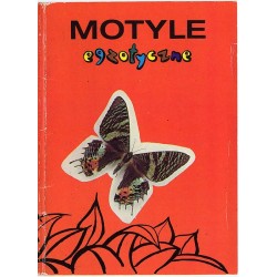 Motyle egzotyczne / fot. Dionizy Gładysz