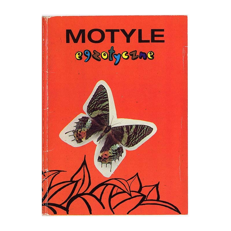 Motyle egzotyczne / fot. Dionizy Gładysz