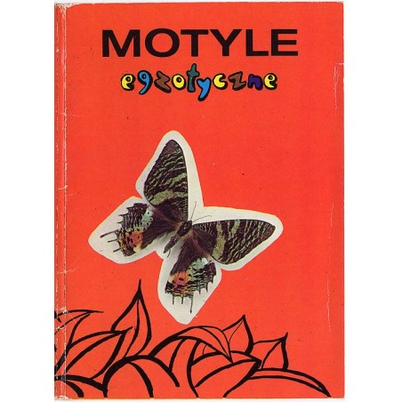 Motyle egzotyczne / fot. Dionizy Gładysz