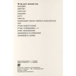 Motyle polskie / fot. Konrad Kazimierz Czapliński