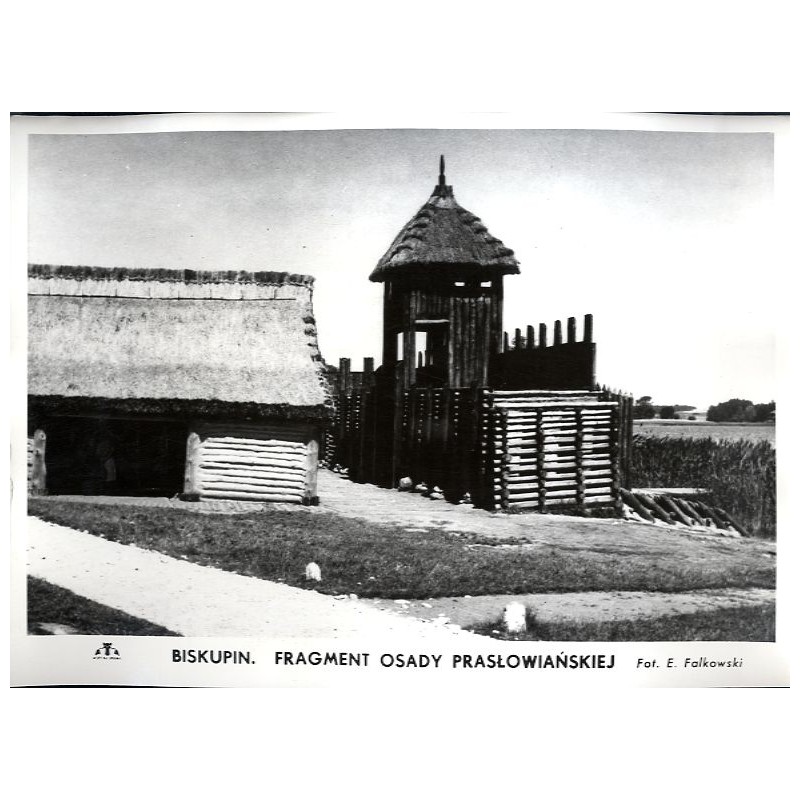 Biskupin. Fragment osady prasłowiańskiej / "BISKUPIN. FRAGMENT OSADY PRASŁOWIAŃSKIEJ"