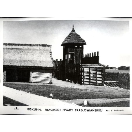 Biskupin. Fragment osady prasłowiańskiej / "BISKUPIN. FRAGMENT OSADY PRASŁOWIAŃSKIEJ"