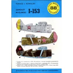 Samolot myśliwski I-153