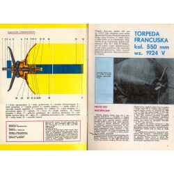 Torpeda francuska kal. 550 mm wz. 1924 V