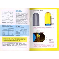 Torpeda francuska kal. 550 mm wz. 1924 V