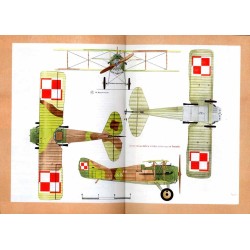 Samolot myśliwski SPAD VII-XIII