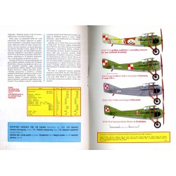 Samolot myśliwski SPAD VII-XIII