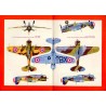 Samolot myśliwski Curtiss Hawk 75