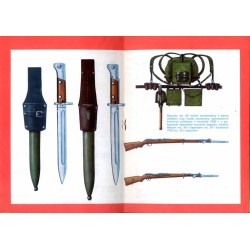 Bagnet polski wz. 29