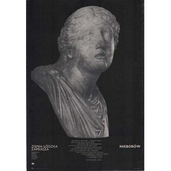 Ziemia łódzka zaprasza. Nieborów