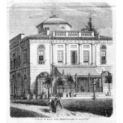 Pałac w Raju pod Brzeżanami w Galicyi / "PAŁAC W RAJU POD BRZEŻANAMI W GALICYI."