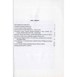 Materiały do studiów nad sztuką XIX wieku. T. 1: Pomniki w XIX wieku