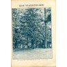 Tęcza. Ilustrowane pismo tygodniowe. R.3 (1929). Z. 18 (4 maja 1929) / Stanisław Raczyński / święto 3 Maja / Stanisław Nowakowsk